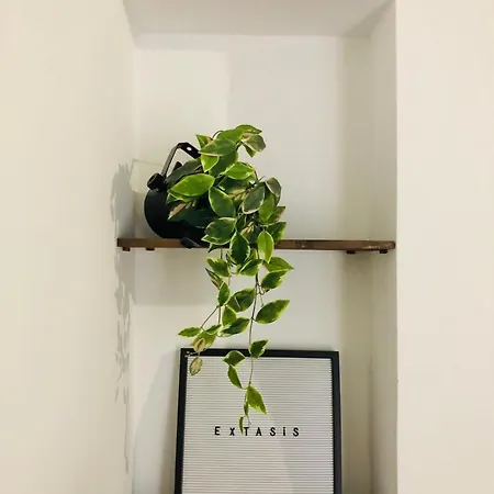 Nomad Gran Canaria Apartman *