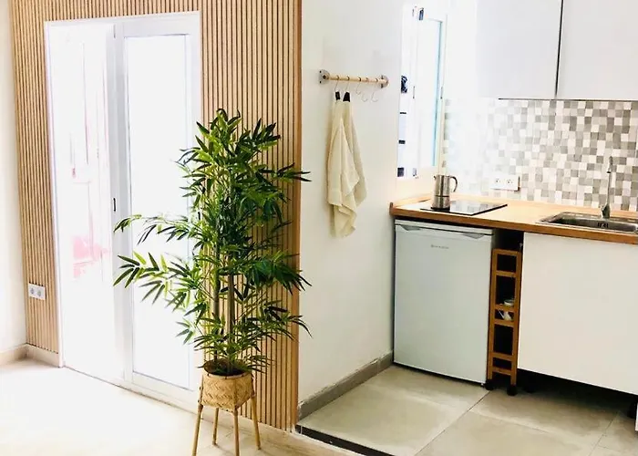 Nomad Gran Canaria 大加那利岛拉斯帕尔马斯